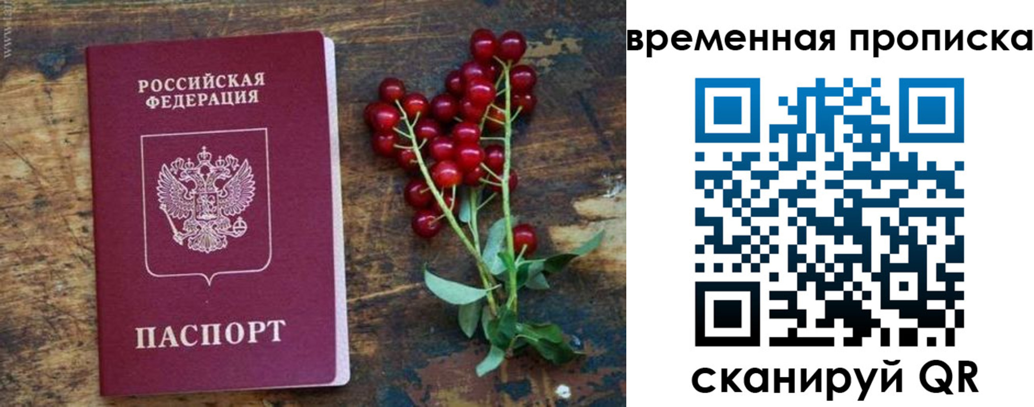 временная регистрация гарантия в Братске